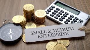 Nano businesses: A hidden dimension of MSMEs | The Guardian Nigeria News -  Nigeria and World News — Opinion — The Guardian Nigeria News – Nigeria and  World News