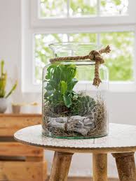A La Maison Le Jardin Miniature Fait Sensation Idees Terrariums Plante Decoration