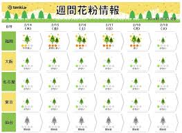 週間 金曜は太平洋側で雨や雪 花粉飛散は 日直予報士 2019年02月13日 日本気象協会 Tenki Jp