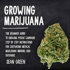 Magik dust (online play) sprinkle some magik grow dust all over your enchanted crop. Amazon Com Growing Marijuana The Beginner Guide To Growing Potent Cannabis Step By Step Instructions For Cultivating Medical Marijuana Indoors And Outdoors Audible Audio Edition Sean Green Layce Gardner Sean Green Audible Audiobooks