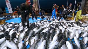 Chile japones entero marca el guapo 22.6 g. El Pescado Ya No Es El Plato Principal En La Mesa De Los Japoneses Nippon Com