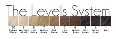 Not quite platinum but a very light blonde, a level 9 will take just about any semipermanent color that turns out on a level 8 as well as lighter shades, like porange, cosmic. How To Dye My Blonde Hair Silver Quora