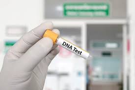 DNA Testing Center in the UAE : 5 Benefits, Types & Guide