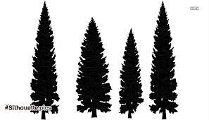 There are 50 redwood silhouette for sale on etsy, and they cost $35.29 on average. Black Redwood Tree Silhouette Image Silhouette Pics