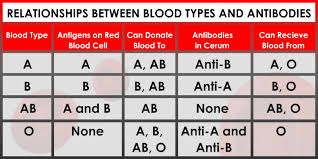 logical blood group chart parent child parent blood type