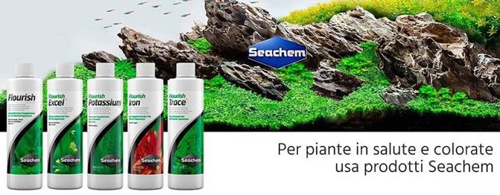 Protocollo Seachem - fertilizzazione base e completa per piante d'acquario
