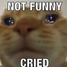 Pin By Eurovison 2009 On Mood Reactions Meme Funny Memes Cute Memes