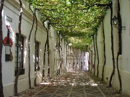 Información de la empresa bodega gonzalez byass jerez sl. A Charming Old Street Part Of The Gonzalez Byass Bodega In Jerez In Spain The Street Is Covered With Vine The Place To Be Dur In 2020 Jerez Andalusia Spain Andalusia