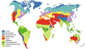 Check spelling or type a new query. Biomes And Their Soils Springerlink