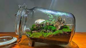 Berikut kami berikan 7 cara mudah membuat terrarium yang unik dan simple. 100 Gampang Cara Membuat Terarium Sederhana Youtube