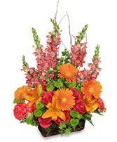 Randal gail cardwell, age 76 of hendersonville, tn died wednesday may 19, 2021 at the residence at alive hospice in nashville, tn. 16 Best Anniversary Flowers Images Anniversary Flowers Flowers Flower Arrangements