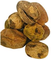 Image result for Balanites aegyptiaca