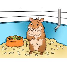 How much space does a hamster need in its cage? Hamster Cages Choosing A Hamster Cage The Hamster House