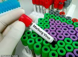 Marburg virus vaccines based upon alphavirus replicons protect guinea pigs and nonhuman primates. X9rxvuj3g8bkum