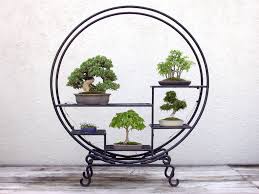 Bonsai & Penjing Museum Collections in DC — National Bonsai Foundation