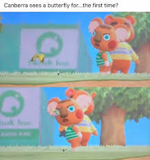 1 749 Mentions J Aime 14 Commentaires Animal Crossing Animalcrossimg Sur Instagram This Mad Animal Crossing Funny Animal Crossing Animal Crossing Game