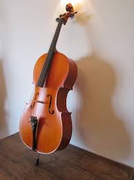 Violoncello Violonchelo