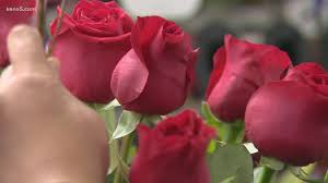 They are often brightly colored or unusually in this figure the flower petal of canterbury bell under a microscope. Winter Blast Could Slow Valentine S Day Flower And Food Delivery 13wmaz Com
