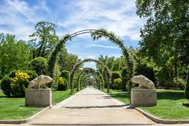 Image result for parque