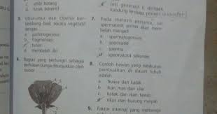 Pin Oleh Maulinda Hasanah Di Ipa Kunyit Penilaian Adaptasi