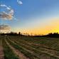 POP-UP - Strawberry Moon Party @ Steelbow Farm
