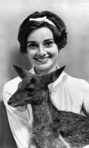 Rodney Crowell: One last question, about a dog named banjo