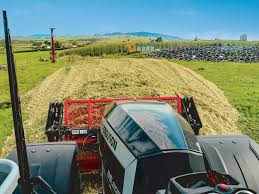 Massey Ferguson 8S.205 review