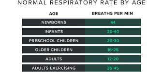 Image result for Respiratory Rate