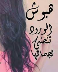 pin by heba shaban on heba name wallpaper arabic funny calligraphy