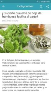 Ayudaaaa Es Verdad Que Tomar Te De Albahaca Ayuda A Dilatar Club Marzo 2019 Embarazo Y Bebes Babycenter