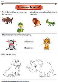 Herbivores Carnivores And Omnivores Worksheets Carnivores Herbivores Omnivores Herbivore And Carnivore Carnivores