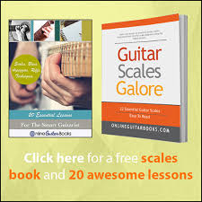 Jazz guitar requires more knowledge about theory and learning jazz guitar scales will give you much of this understanding thats needed. Jazz Guitar Chords The 8 Essentials