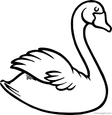 You can use our amazing online tool to color and edit the following swan coloring pages. Easy Swan Coloring Page Coloringall