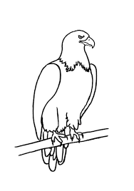 How To Draw A Bald Eagle Step By Step Easy Animals 2 Draw Eagle Drawing Easy Animal Drawings Eagle Drawing Easy
