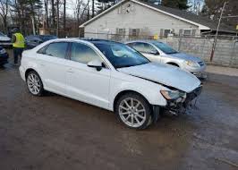 Image result for Arctic White 2006 A3