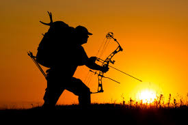 › best compound bow for the money. The Best Compound Bows For 2020