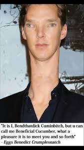 Image result for doge face swap