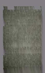 Image result for Bidens acuticaulis