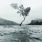 Spokane Symphony: James Lowe - Masterworks 2: Landscapes