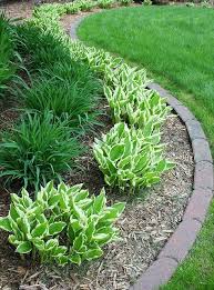 Find The Perfect Landscaping Ideas And Tips To Improve Your Outdoor Space Phloxlandscaping Easy Landscaping Front Yard Landscaping Design Diy Landscaping