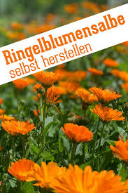 Ringelblumensalbe Schnell Und Einfach Selbstgemacht Krauterkeller Ringelblumensalbe Selber Machen Salbe Salben Selber Machen