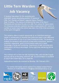 Spurn Bird Obs Spurnbirdobs Twitter