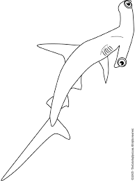 So, if you were looking for free hammerhead shark 2 coloring page coloring sheets, you are in the right place. Hammerhead Shark Coloring Page Audio Stories For Kids Free Coloring Pages Colouring Printables