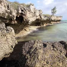 The western shore features an almost uninterrupted sandy beach 5.5 km. Assomption Aldabra Marine Programme
