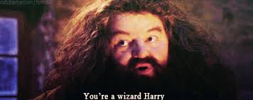 Your daily dose of fun! You Re A Wizard Harry Gif On Imgur