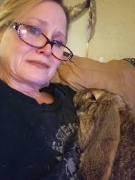 Noah's low-cost spay/neuter services in Missouri area