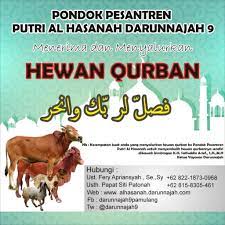 Maybe you would like to learn more about one of these? Info Hewan Qurban Di Pondok Putri Al Hasanah Darunnajah 9 Pamulang