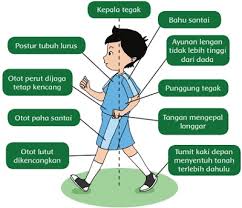We did not find results for: Pembelajaran 3 Tema 2 Subtema 1 Rukun Dalam Perbedaan Kelas 6