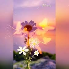 Wallpaper indah bergerak 31 pictures. Yudhi Suryana Chellbryanaz Profil Pinterest