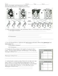Unit 8 Mendelian Genetics